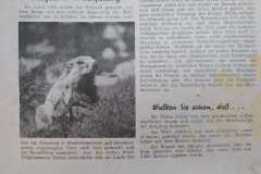 Chiemgau-Blaetter-18.9.1954