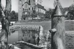 Baumburg-50er-Jahre
