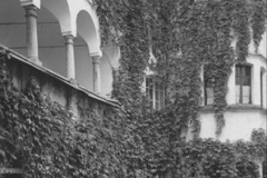 Amerang-Innenhof-des-Schlosses-1930