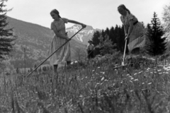 Aschau-Im-Chiemgau-Frauenarbeitsdienst-Hohenaschau-1930er-d