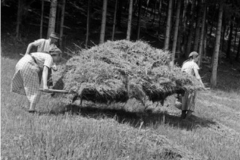 Aschau-Im-Chiemgau-Frauenarbeitsdienst-Hohenaschau-1930er-f