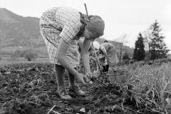 Aschau-im-Chiemgau-Frauenarbeitsdienst-1930er-Jahre-Hohenaschau-2