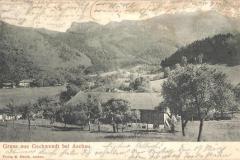 Aschau-im-Chiemgau-Gschwendt-Blick-nach-Gebirgskette-1905