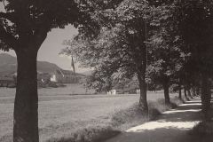 bernau-c
