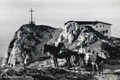 Hochfelln