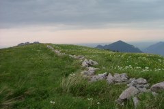 Alter-Steinzaun-700-jahre-alt-auf-der-Rossalm