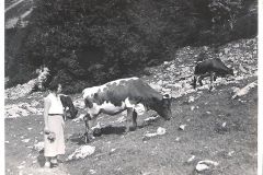 Ruhpolding-Felln-Alm-1933