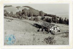 Wimmer-Alm-1000m-ue.M.-Grassau-ca.-1964