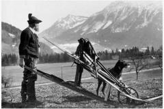 Ruhpolding-Anfang-1900-am-Westernberg-Eduard-Hauenstein-Hauei-Erfinder-des-Skilaufs-im-Chiemgau