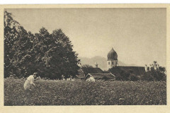 Blumenpfluecken-auf-der-Fraueninsel