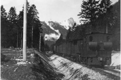 Ruhpoding-Waldbahn-in-den-Laubauer-Almwiesen.-Der-Zug-kommt-vom-Foerchensee-runter