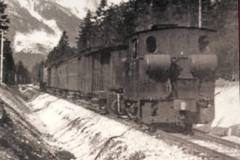Ruhpolding-Waldbahn