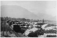 Ruhpolding-Waldbahnhof-Richtung-Rauschberg
