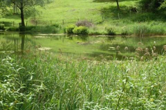 Grassau-altes-Bergbad-heute