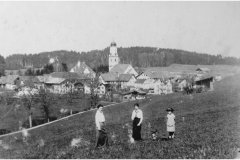 Haslach-von-der-Muehlleiten-gesehen-um-ca.-1910