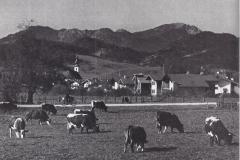 Inzell-1969