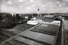 ISING-am-Chiemsee-Baumschule-ca.-1965-1970