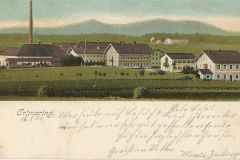 Kienberg-Ortmaring-Ziegelei-1904-2