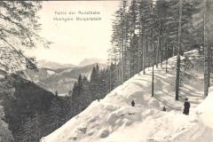 Marquartstein-1908-Partie-der-Rodelbahn