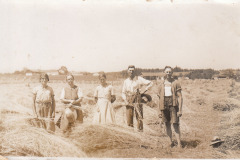 Palling-Garbenbinden-1940-von-Gerhard-Lechner