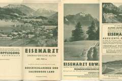 Eisenaerzt
