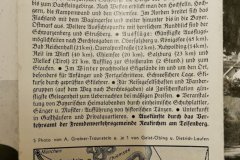 Neukirchen2