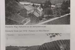 Veitsgromma-Zunft-Festschrift-1999-3