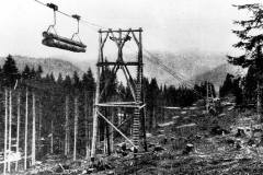 Reit-im-Winkl-Holzseilbahn-Baumtransport-nach-Seegatterl