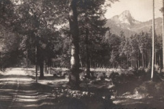 Ruhpolding-1927-Weg-nach-Seehaus-mit-Hoerndlwand