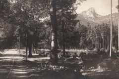 Ruhpolding-Weg-nach-Seehaus-1927-mit-Hoerndlwand