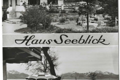Haus-Seeblick-in-Seebruck-um-1960-Traumhaft-die-Terrasse-zum-See-Kein-Verkehr