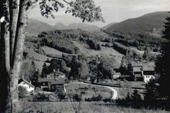 Alzing-1960