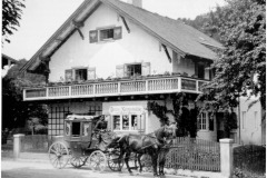 Alzing-Spezerei-und-Gemischtwaren-Gaupp-1912