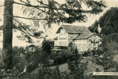 Bad-Adelholzen-1908