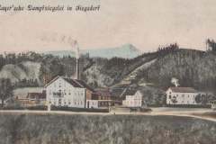Mayersche-Dampfziegelei-in-Siegsdorf-1908.-hinter-Schweinbach-Richtung-Vachendorf