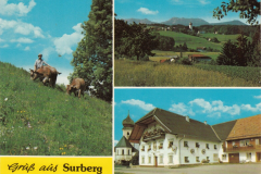 Surberg-2