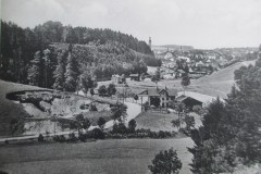 Blick über Heilig Geist auf Traunstein. Links die Galgenleite. 1915