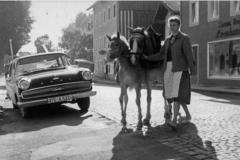 Traunstein-Haflingermarkt-1960