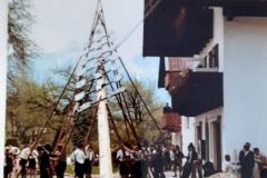 Uebersee-1963-Maibaum