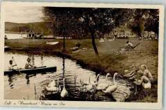 Mein-lieber-Schwan.-Schwaenefuettern-am-Strandkurhaus-in-den-50ern